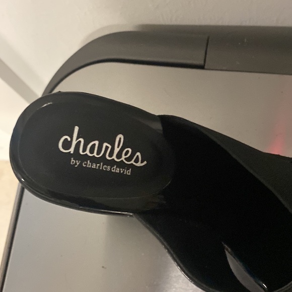 Charles David platform slide - Picture 2 of 3